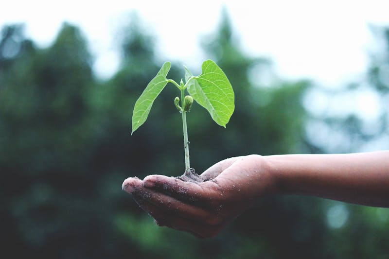 AI genererar automatisk klimatrapport från kvitton och bokföring